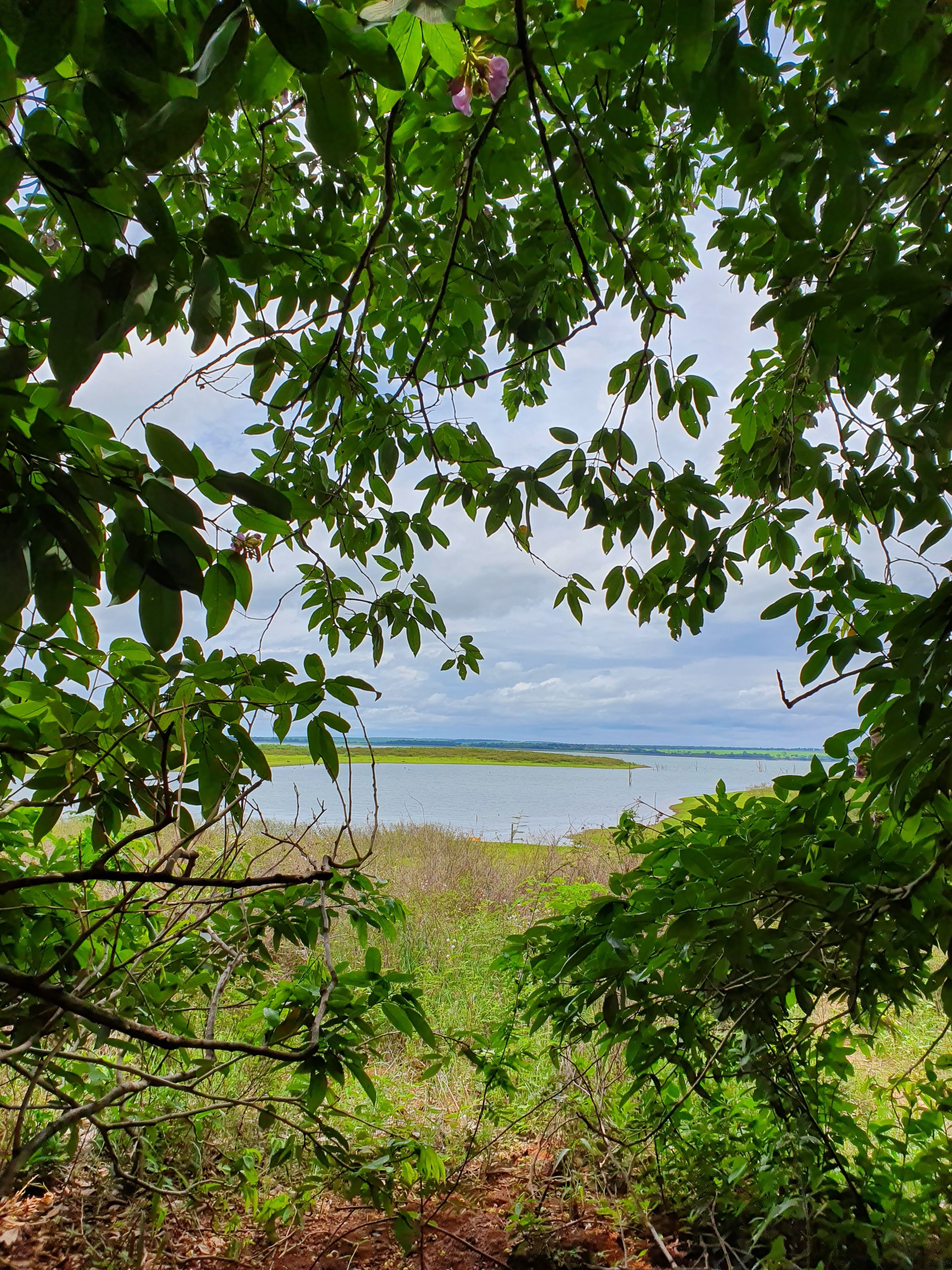 Vista da mata nativa emoldurando as águas da Represa de Água Vermelha na propriedade da Castanheira